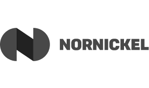 Nornickel logo